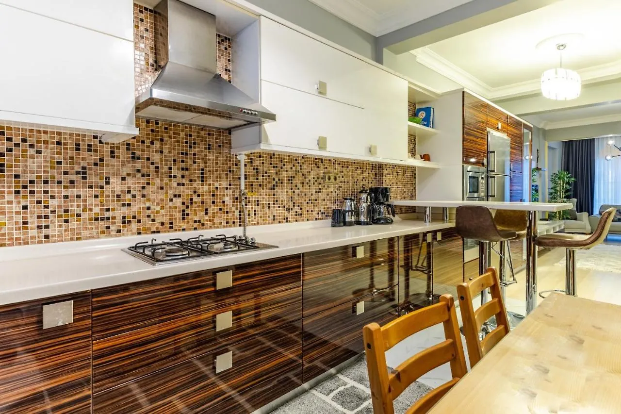 Modern Apartment Near Osmanbey Metro Station Istanbul