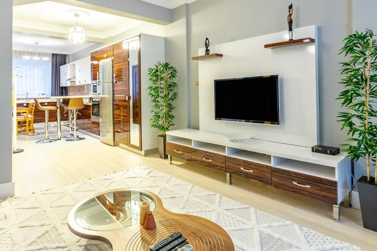 Modern Apartment Near Osmanbey Metro Station Istanbul Turkey